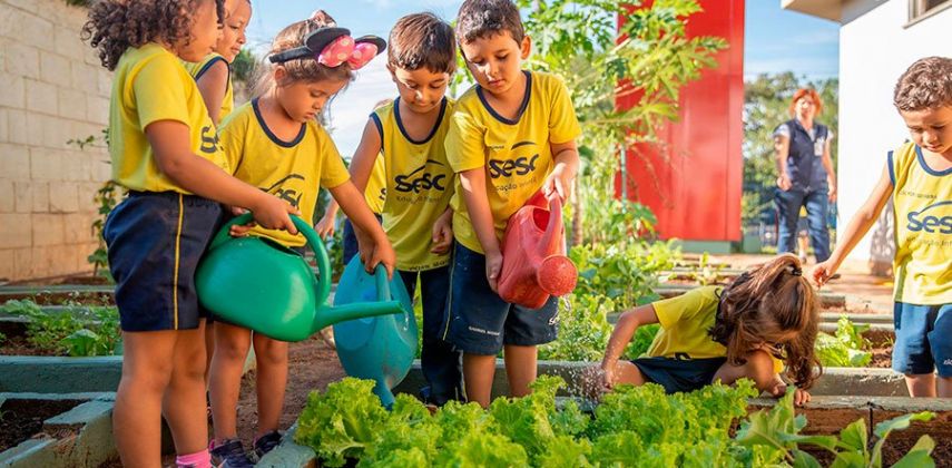 Sesc Goiás - Áreas de atuação: Educação Infantil